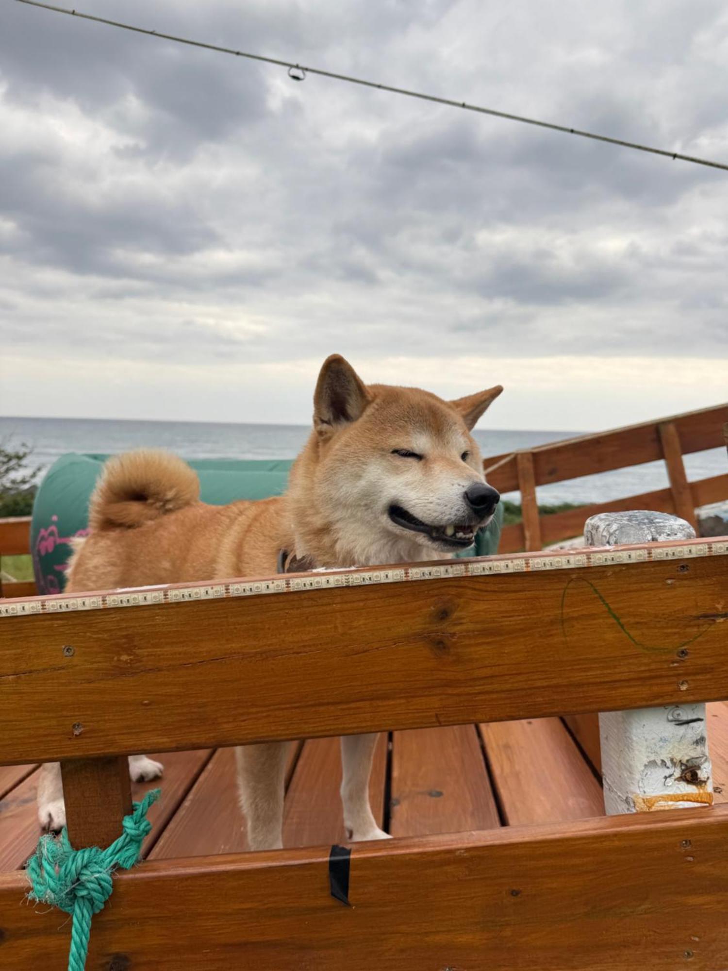 Sea-Hi B&B Yanliau Kültér fotó